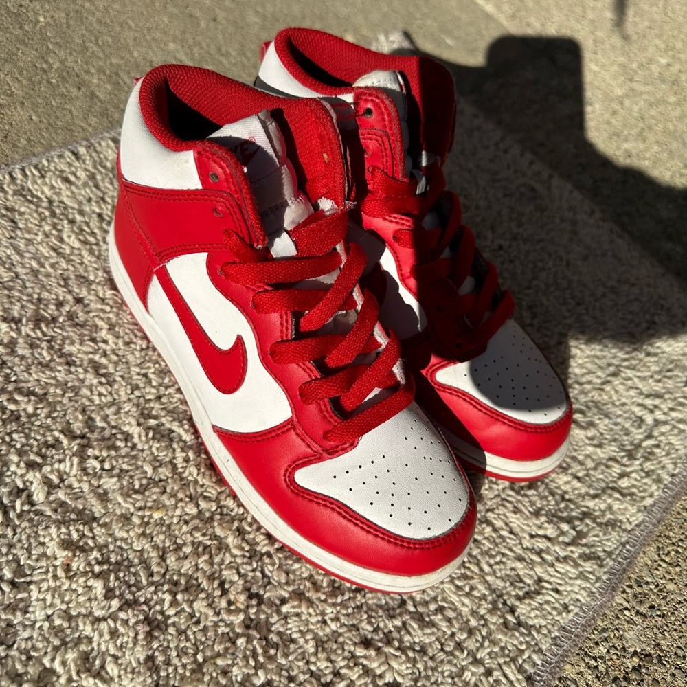 Nike Dunk High